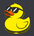 cool duck