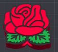 rose